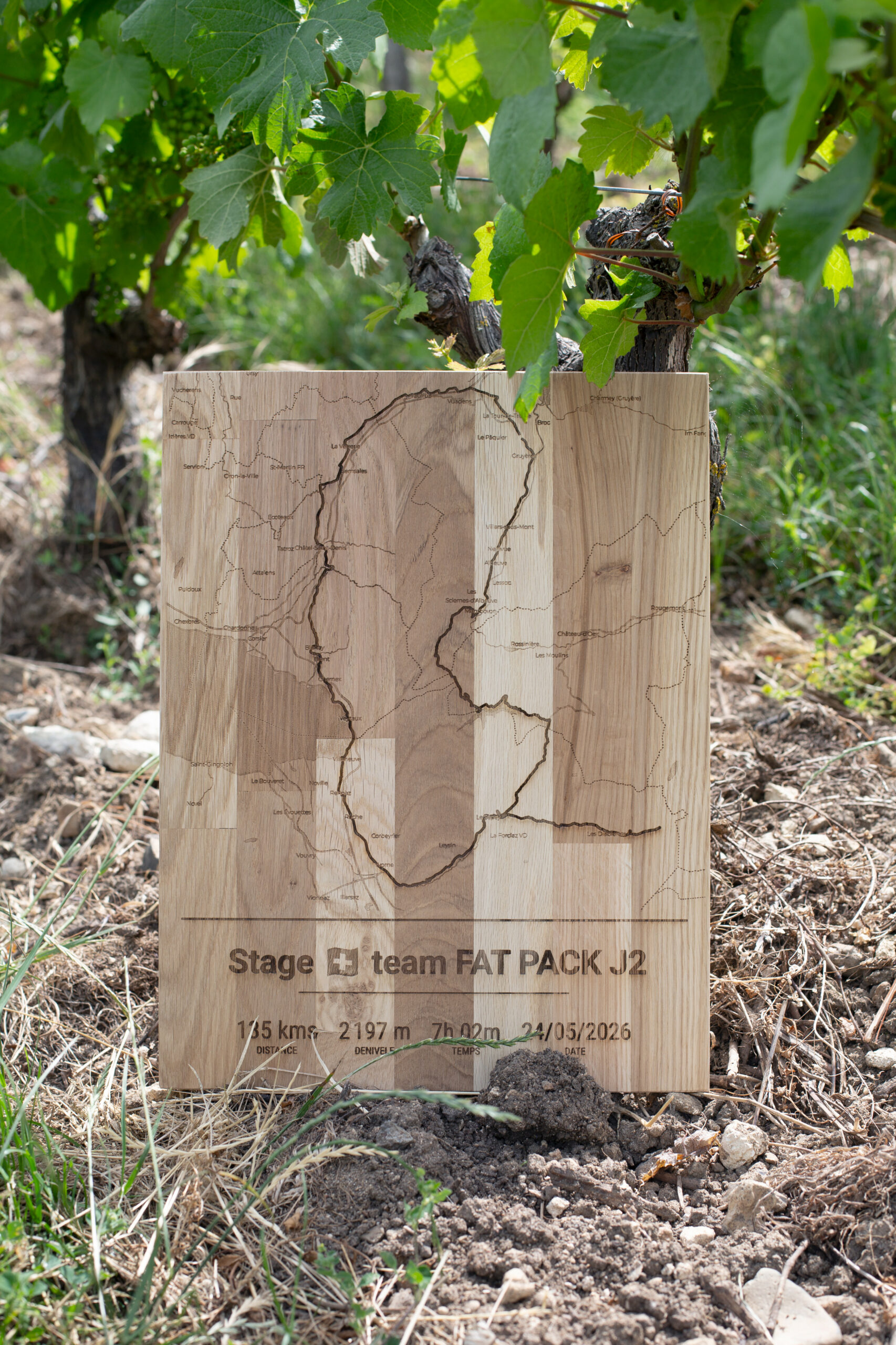 GRAVE TA TRACE – Image 7