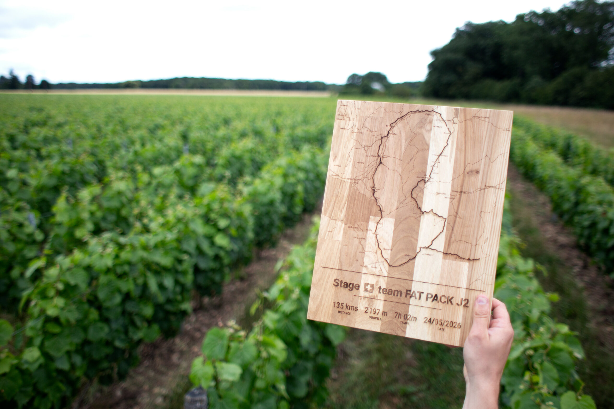 GRAVE TA TRACE – Image 5